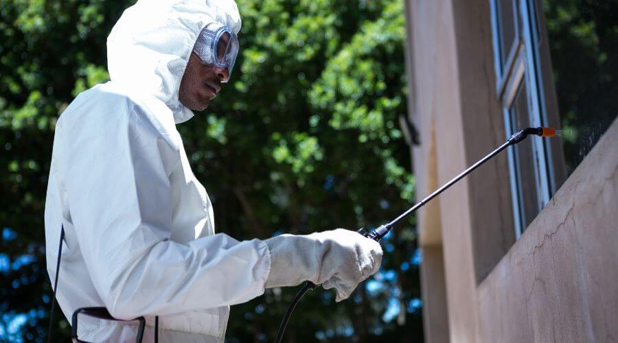 Why choose Rat Control East Verde Estates for rat control in East Verde Estates